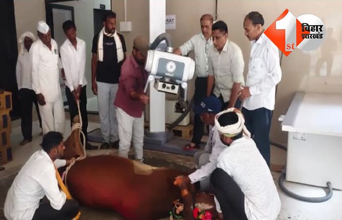 महाराष्ट्र न्यूज