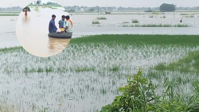 Bihar news