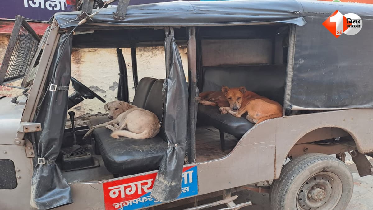 Bihar Police: पुलिस गश्ती गाड़ी में कुत्ते ने जमाया कब्जा, आराम फरमाते VIDEO वायरल