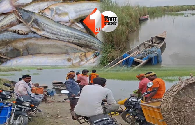 बिहार न्यूज