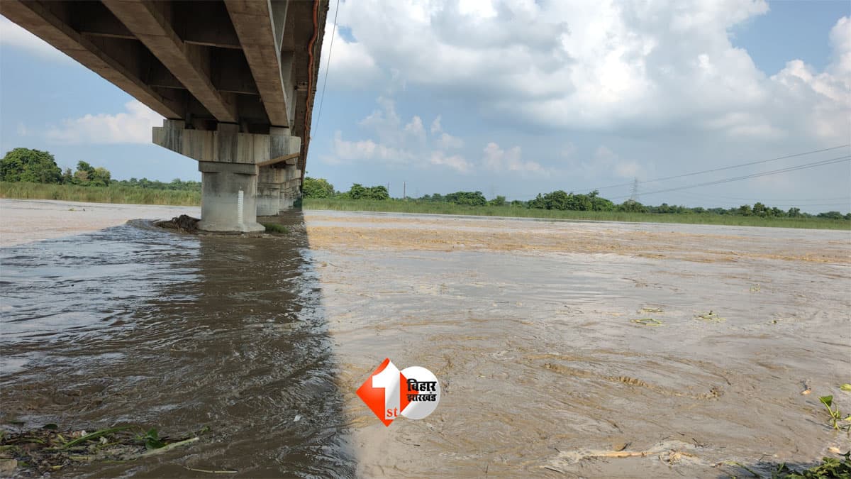 Bagmati River Flood: तीन दिन की बारिश के बाद बागमती ने दिखाया रौद्र रूप, खतरे के निशान से ऊपर बह रहा पानी