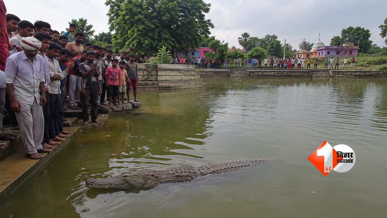 Bihar News