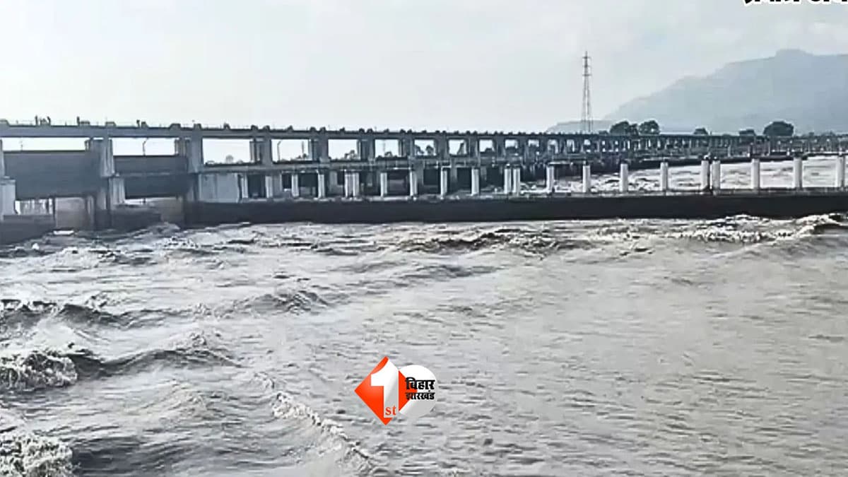 Bihar Flood Alert: नेपाल में भारी बारिश का असर, गंडक नदी का बढ़ा जलस्तर; वाल्मीकिनगर बराज के सभी गेट खोले गए