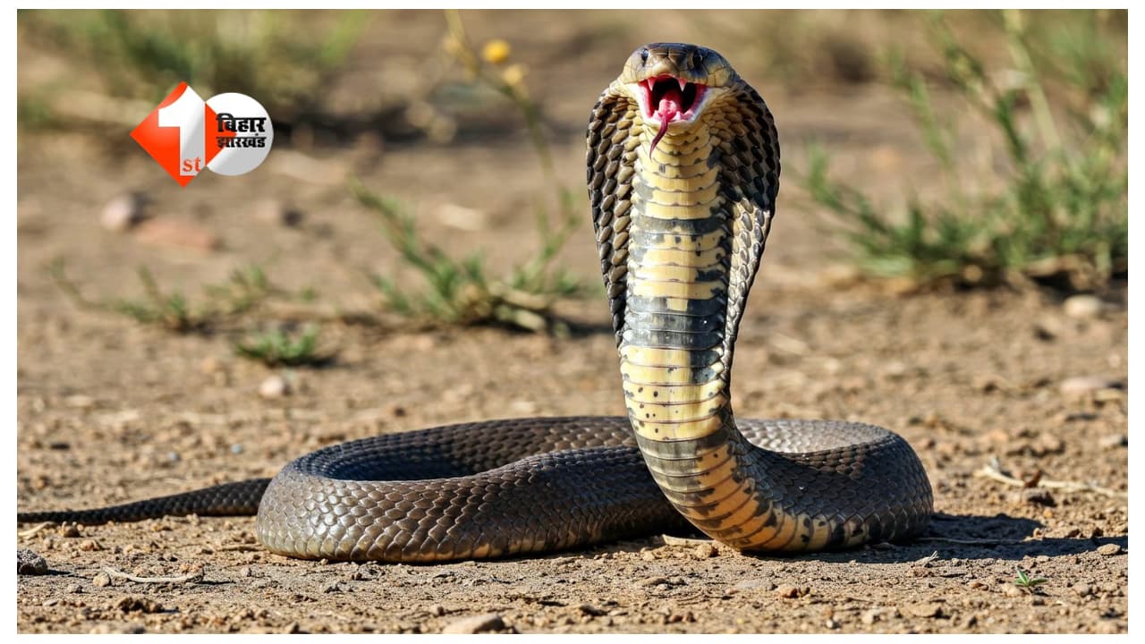 Patna News